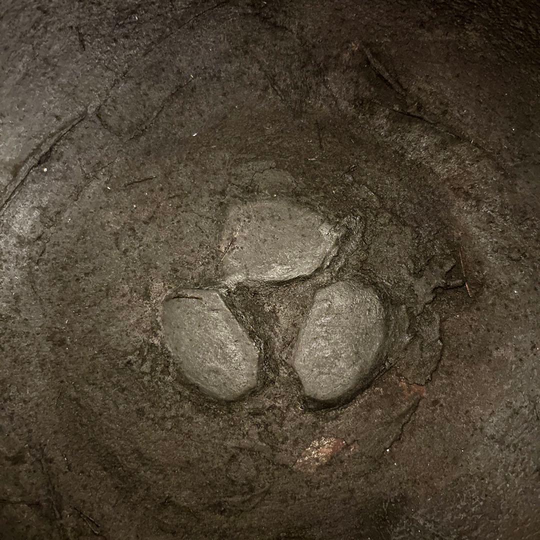 茶道具 茶釜 田口釜 釜師 須藤浄義造