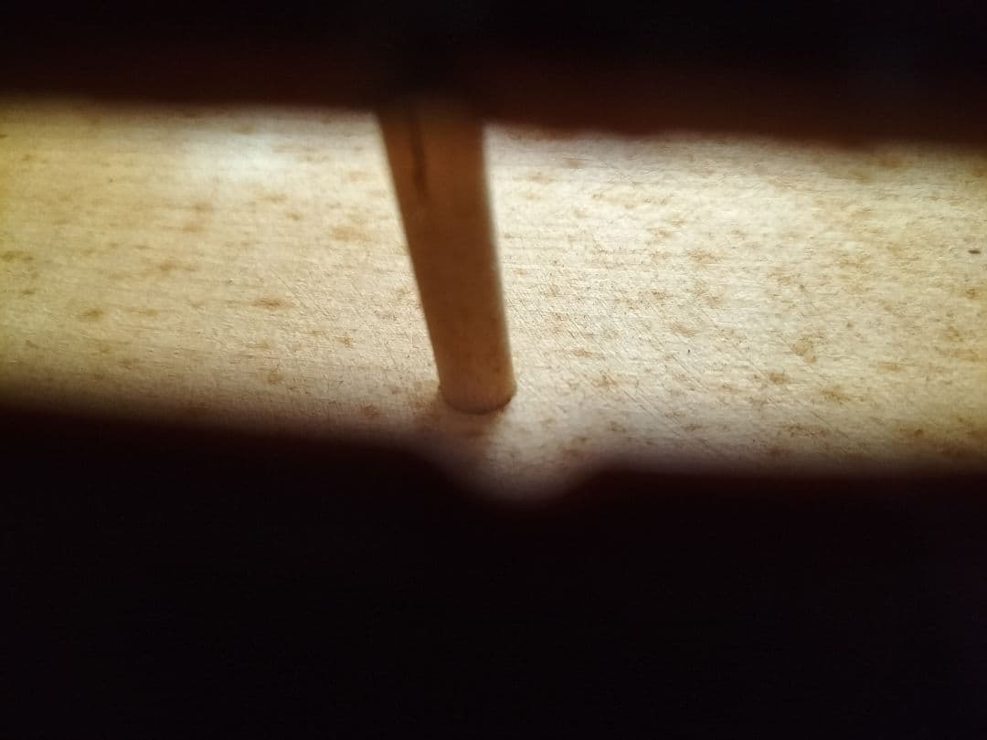 カプチーノ　バイオリン　ヴァイオリン 4/4　肩当て付き