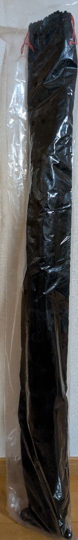 Daiwa STOIST RT CGS 80ML エギングロッド