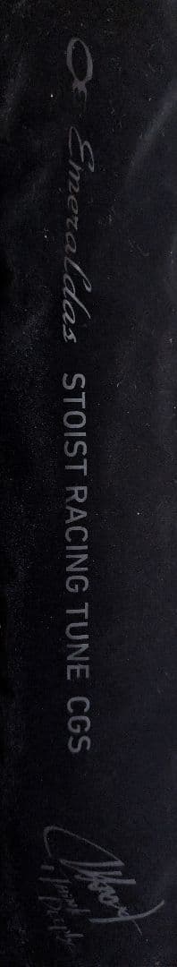 Daiwa STOIST RT CGS 80ML エギングロッド