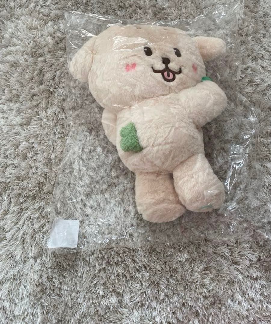 NCT WISH ジェヒ　デントリバー バッグ　ソウルコン　カバン　キャラクター