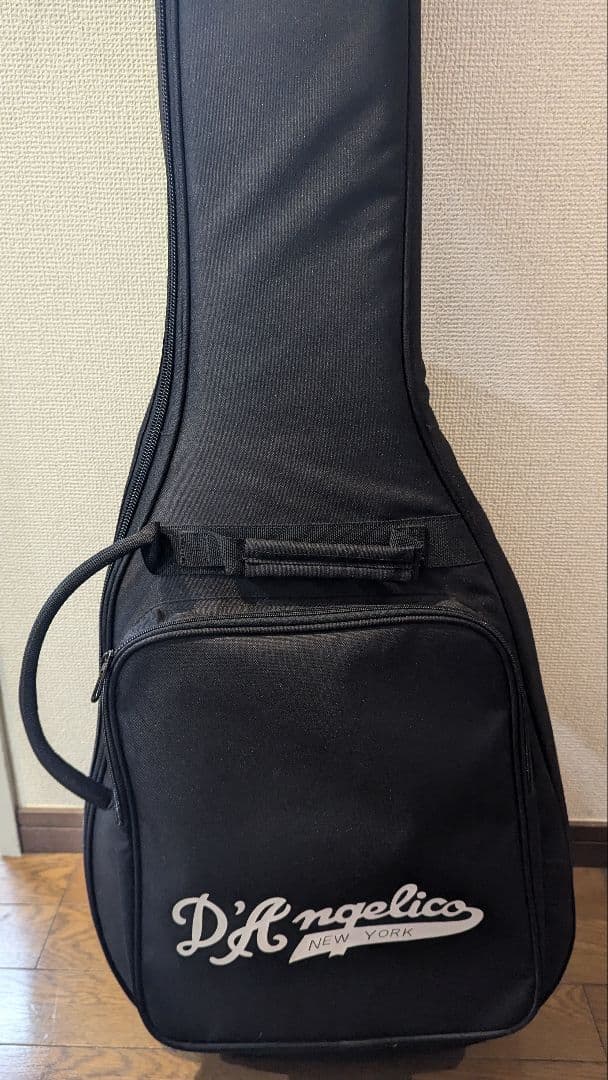 【国内非売品】D'Angelico Premier Bedford