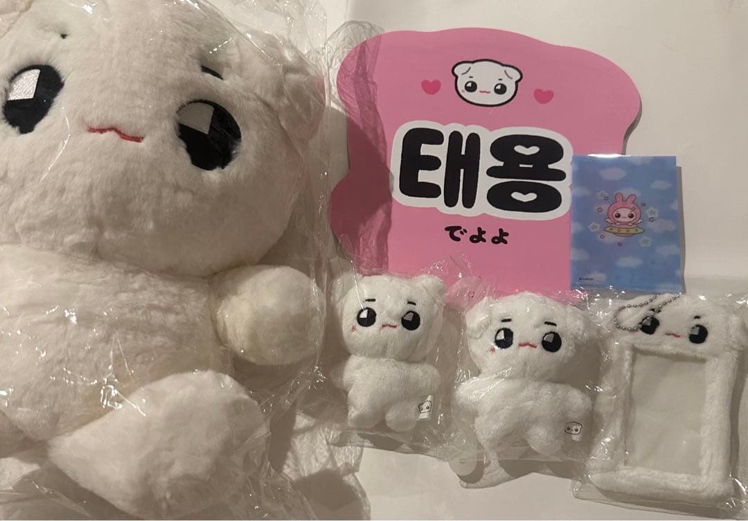 NCT127 テヨン テョンヤ ぬいぐるみ 10cm 40cm トレカホルダー