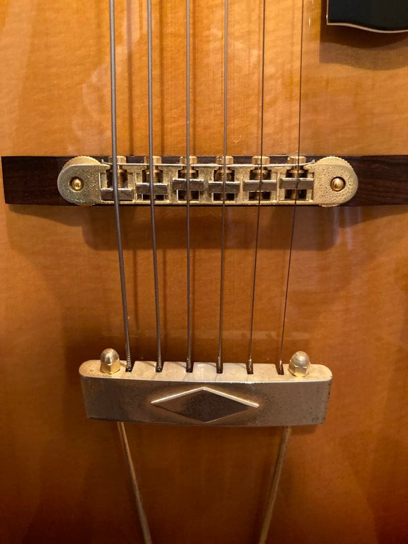 Rozeo Ladybug (Gibson SG 64年製ピックアップ付)