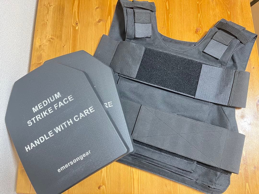 BINTER DEFENCE プレートキャリア ボディアーマー LE装備