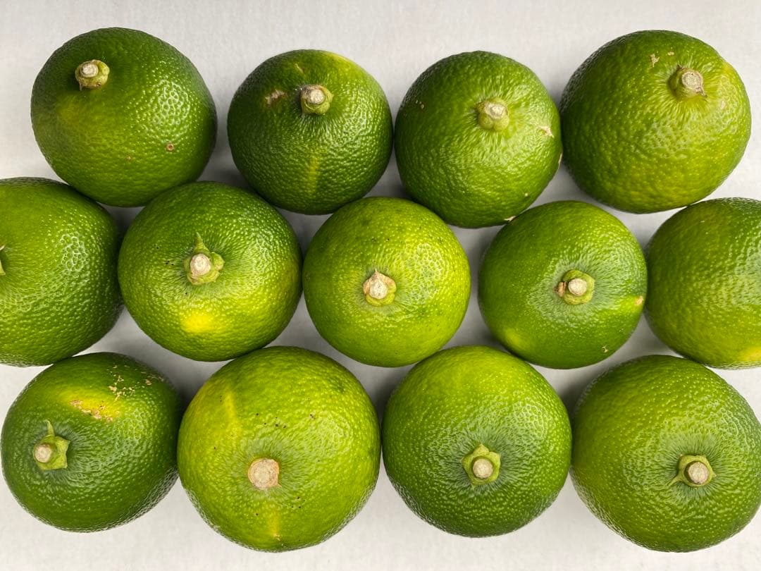 徳島県神山町産すだち《冷蔵貯蔵》10キロ　キズ・色ムラあり　黄緑色になります。①