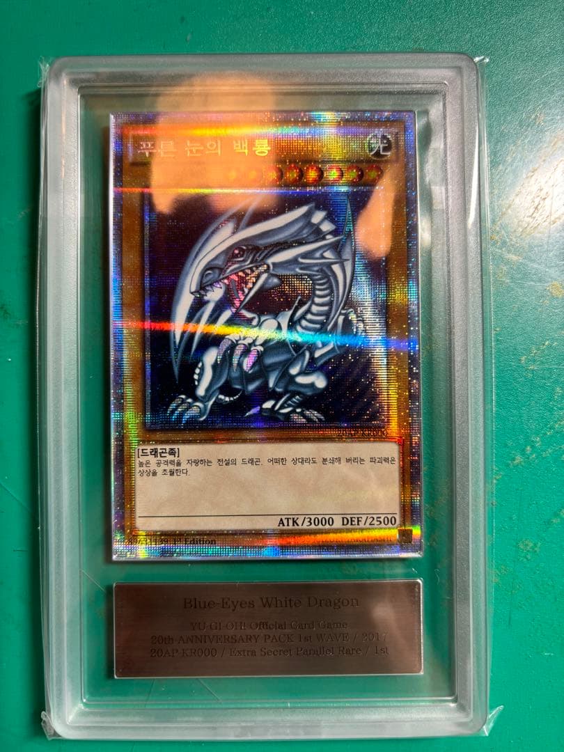 青眼の白龍　韓国