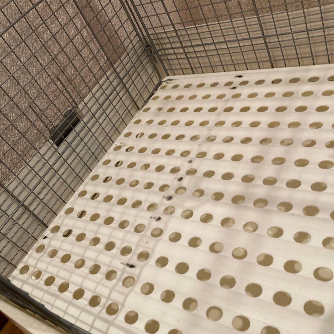 三晃商会　イージーホーム60ハイメッシュ　ホワイト　日曜日発送