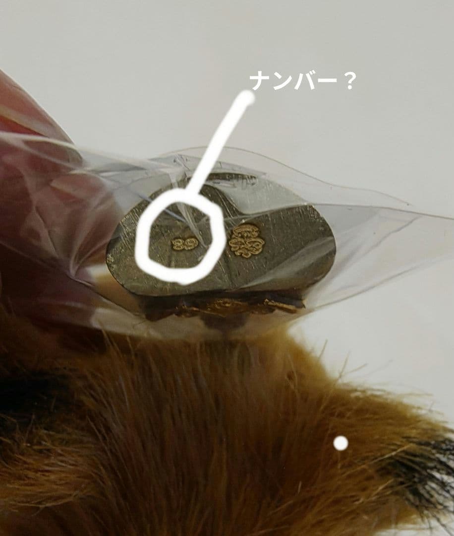 【激レア！！】タイのお守りプラクルアン！神秘のタ・ロウ！幸運&守護！！