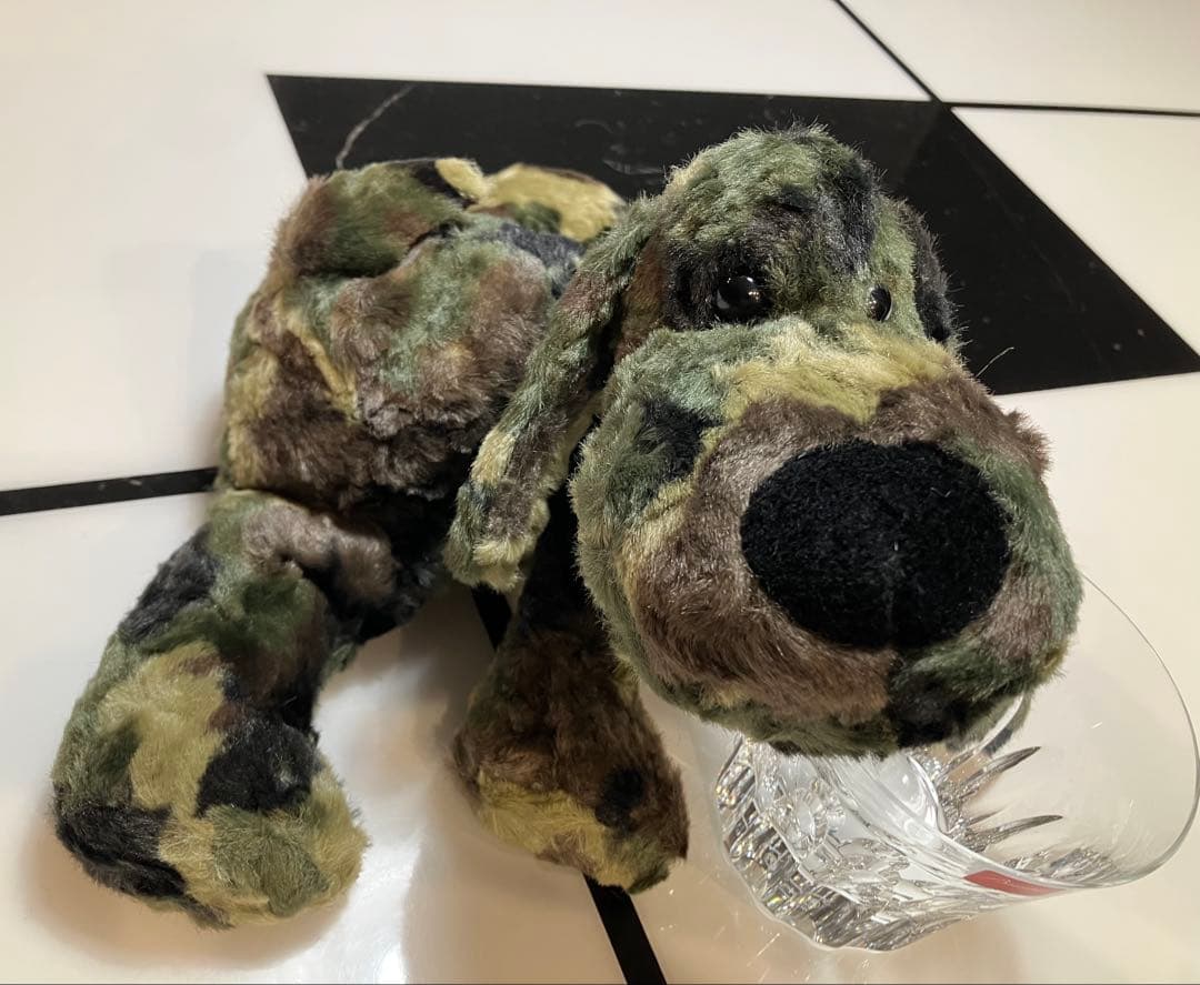 ★★ SONGです★★ 子犬のるーくL　カモフラフィールド