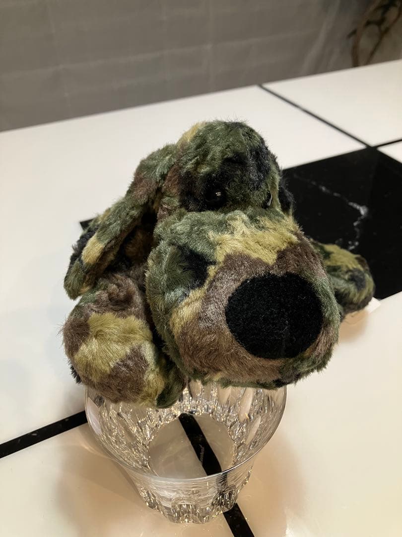 ★★ SONGです★★ 子犬のるーくL　カモフラフィールド