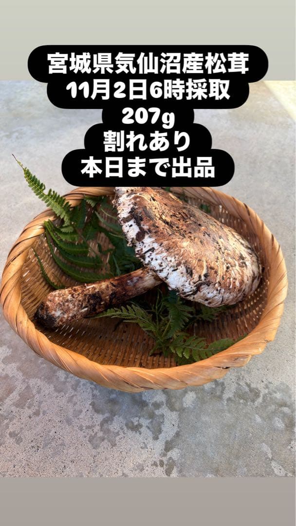 宮城県気仙沼産 松茸 207g