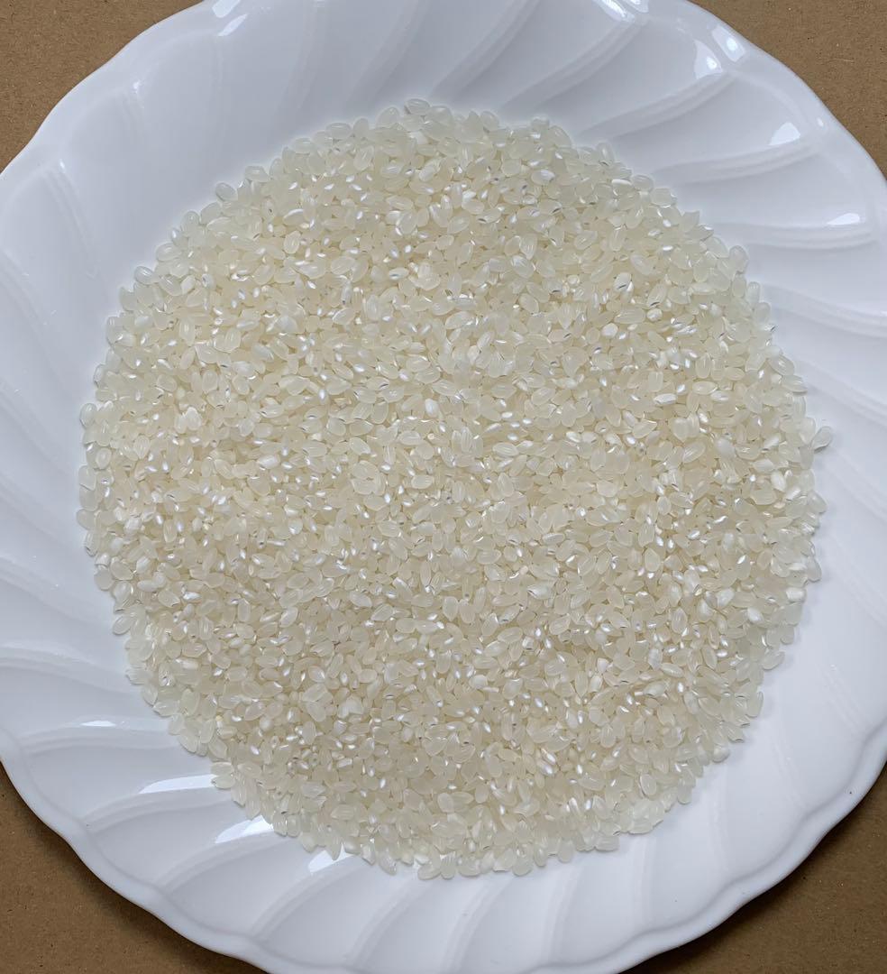 高食味❗️令和7年度 我が家低農薬栽培 高知コシヒカリ玄米20kg(10kgx2)