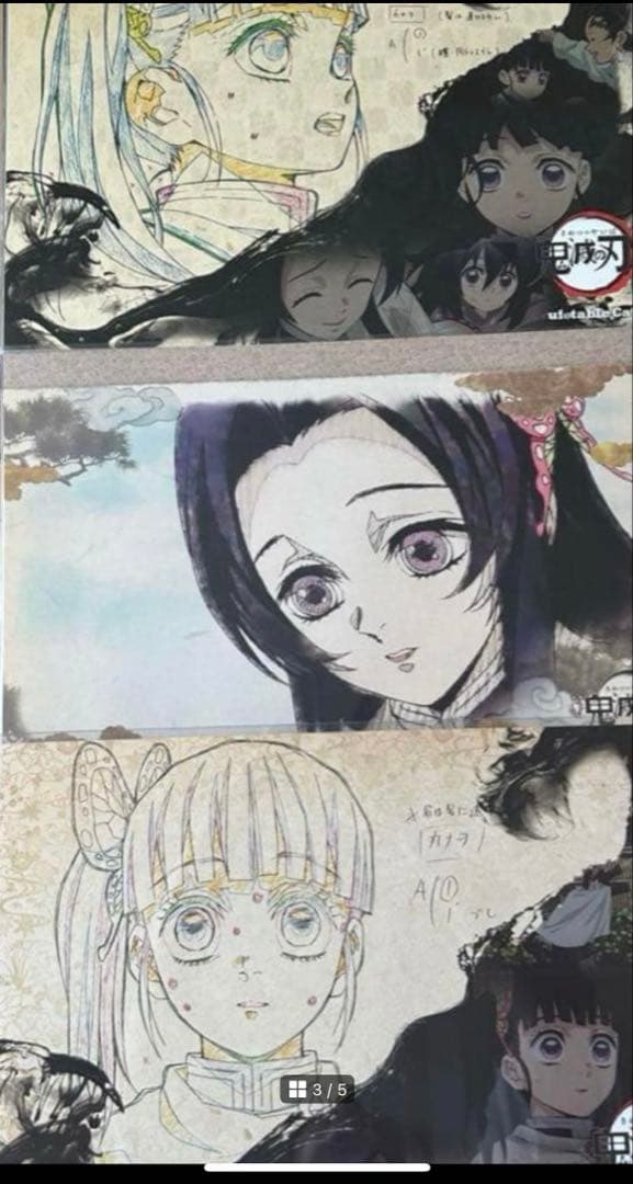 鬼滅の刃 蝶屋敷 纏め売り