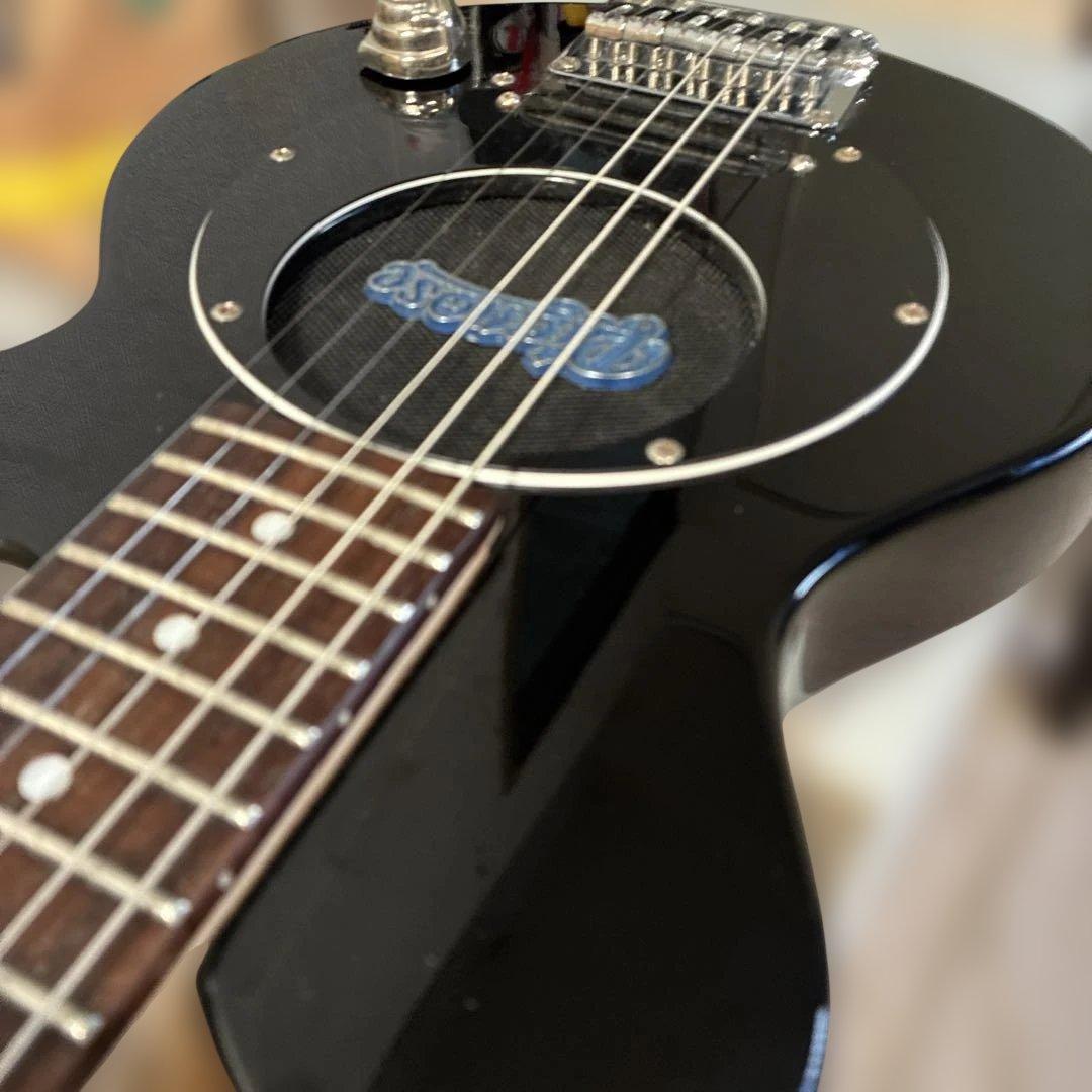 ピグノーズPGG200 ブラック