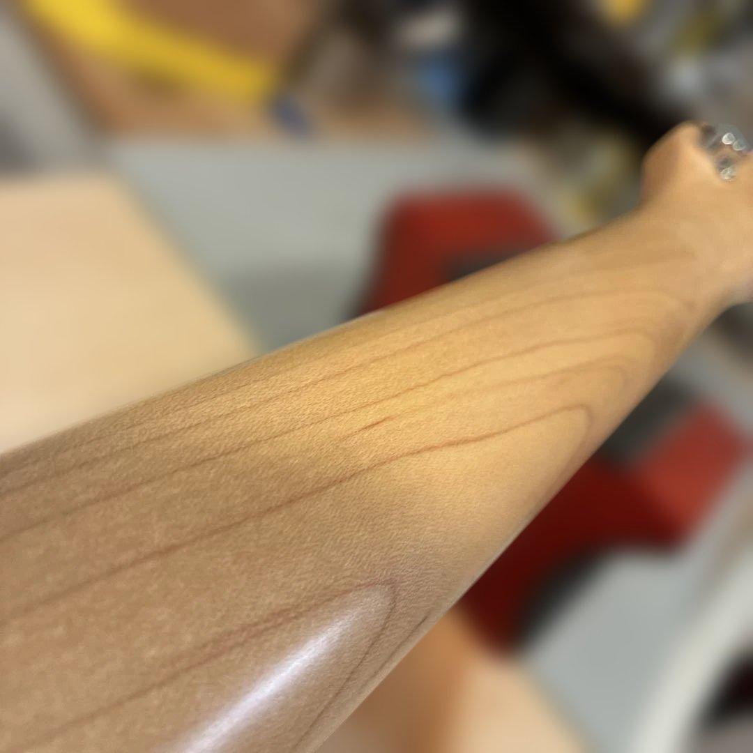 ピグノーズPGG200 ブラック