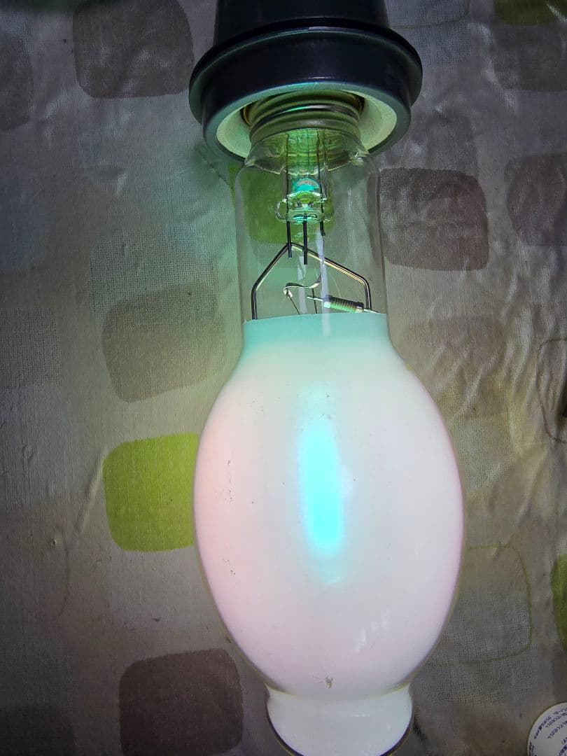 ライトトラップシステム 100V 200W