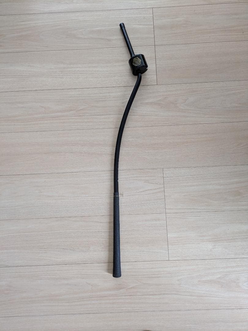 その他 3D Swing Mentor