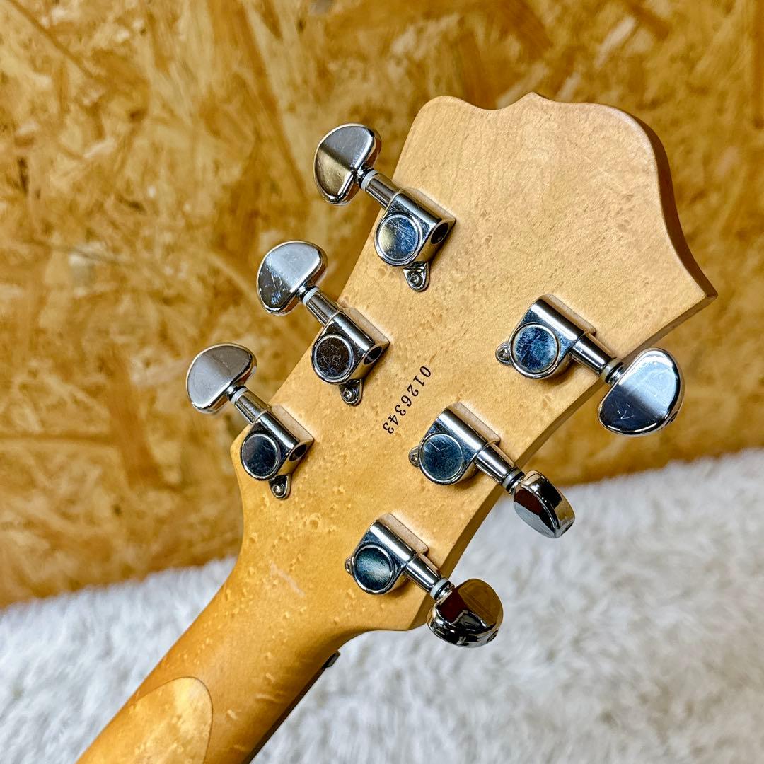 激キルトトップ&バーズアイ B.C.Rich/BCリッチ Marion/マリオン