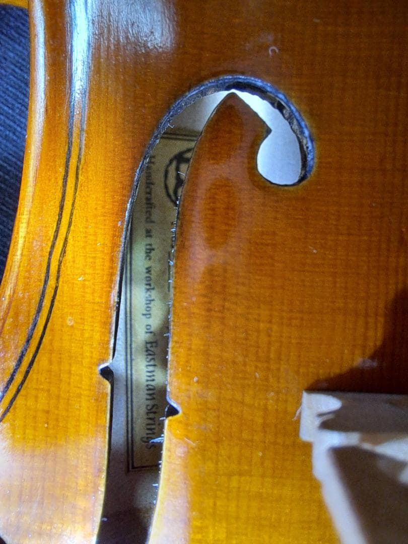 Ryo イーストマン10/1バイオリンセット(肩当て、弓、ケース)