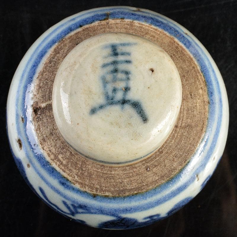 中国　染付　山水文　茶壷　茶心壷　時代箱付　V　R5973