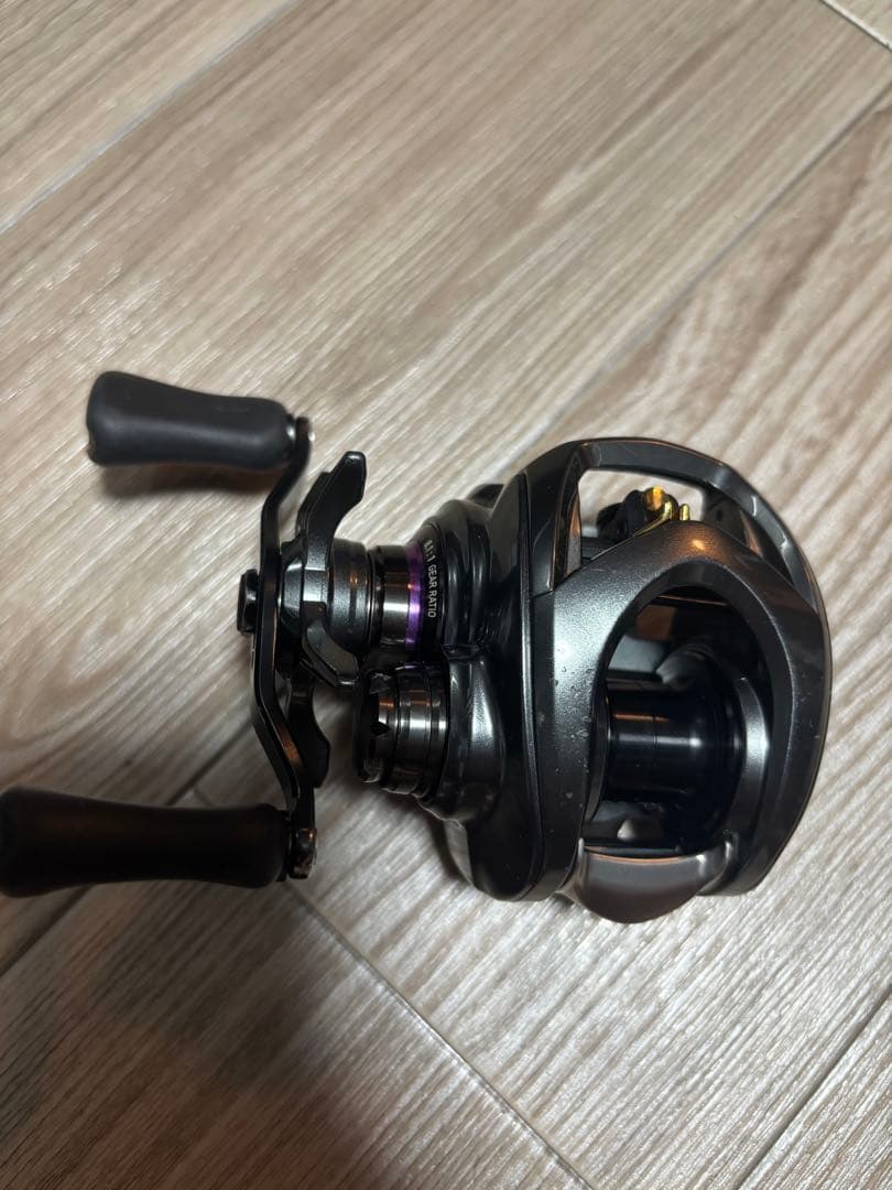 ダイワ(DAIWA) ベイトリール 19 スティーズ CT SV TW