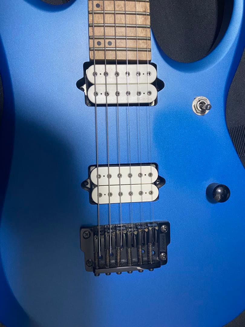 ギター Ibanez / iron label RGDIR6M-LBM