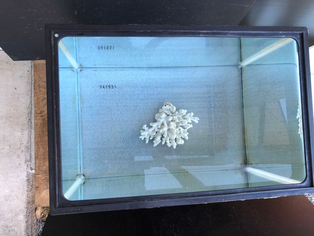 か*ん様 水槽45×30×H36cm 2本