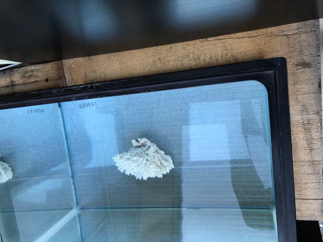 か*ん様 水槽45×30×H36cm 2本