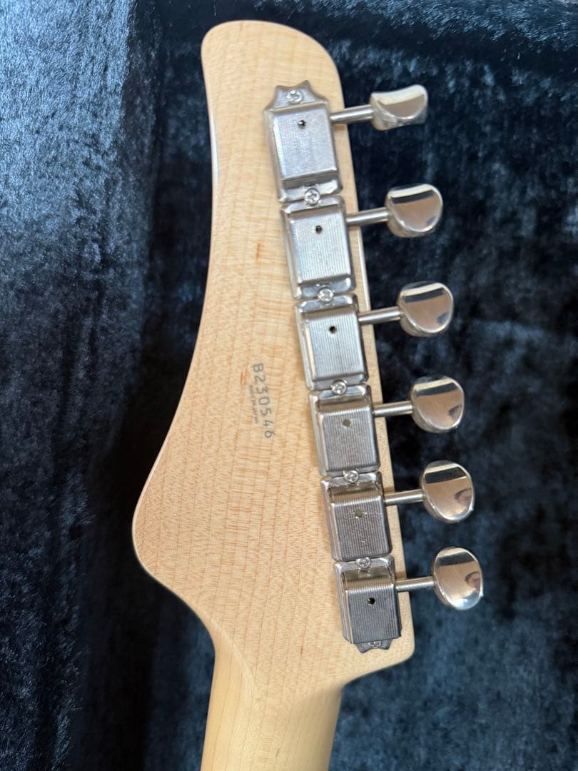 FUJIGEN フジゲン EOS/MH セミオーダーExpert ODYSSEY