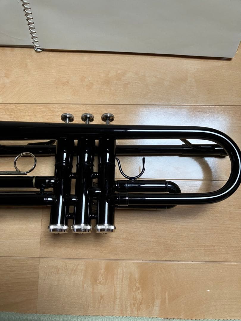 ケルントナートランペット 本体 黒色 ケース付き
