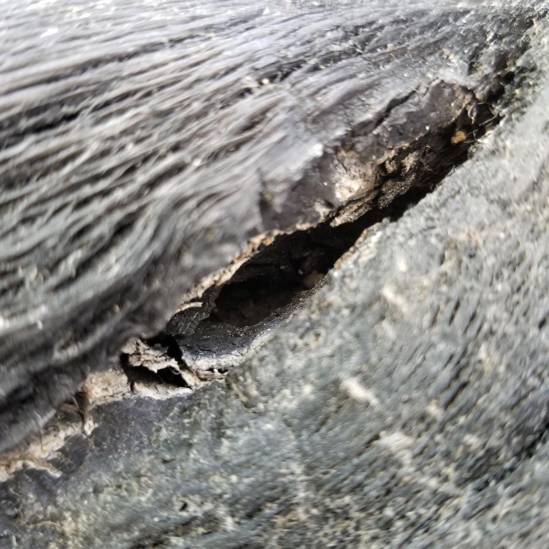 紀州備長炭オブジェ　一点もの　希少