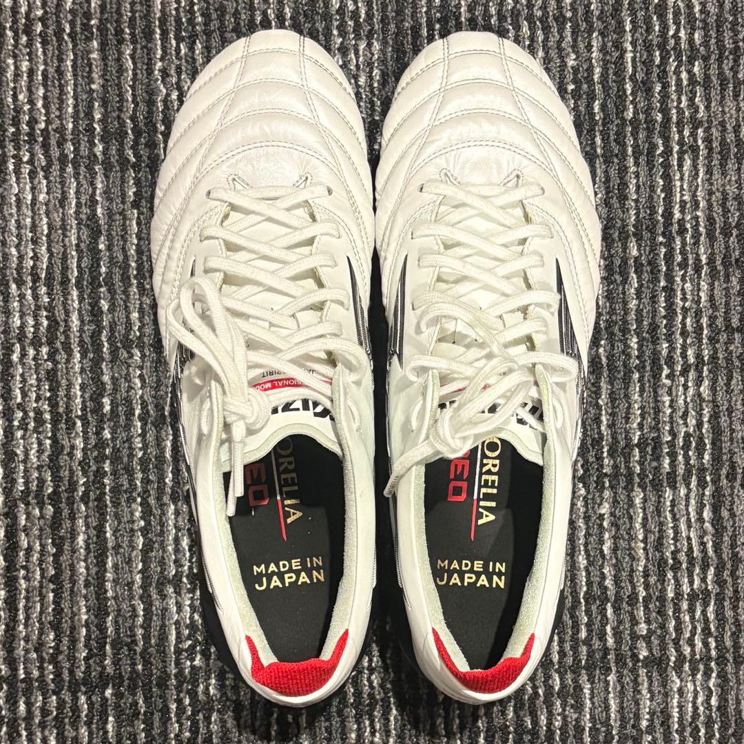 モレリアネオ4 MIX 24.5cm