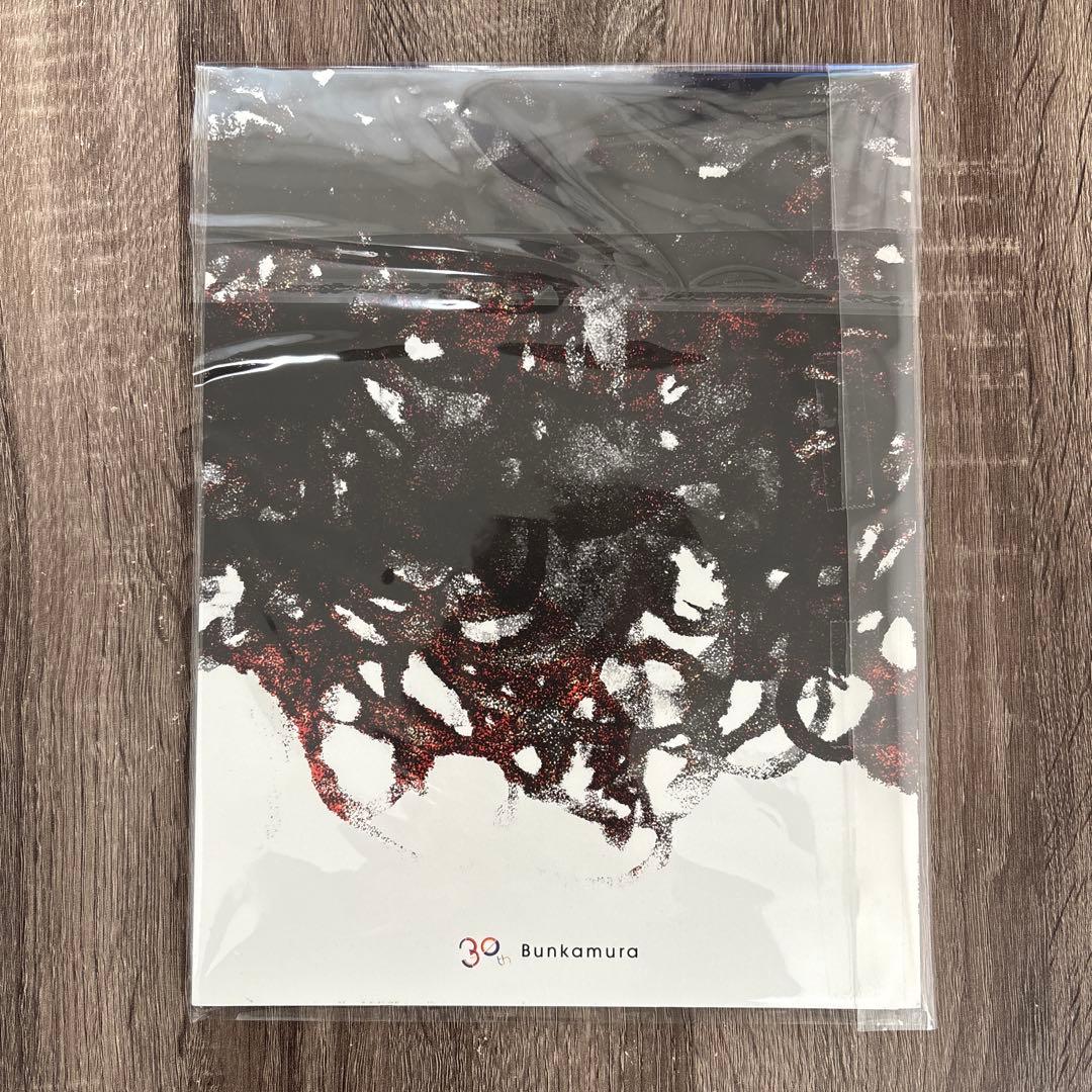 三浦春馬　罪と罰　パンフレット　美品