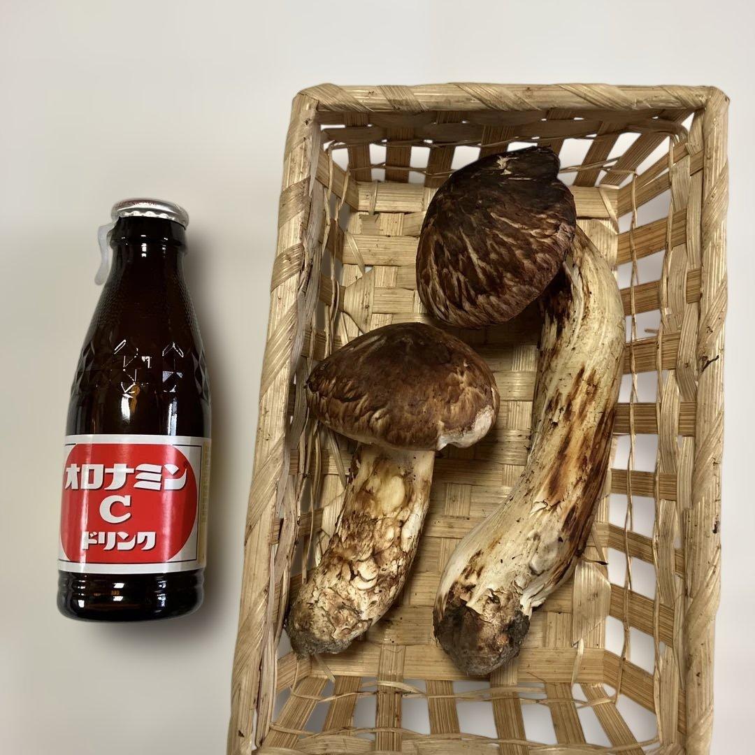 岩手県産松茸　１７２g