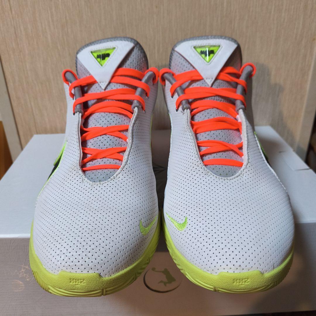 シューズ(男性用) LEBRON22 29cm