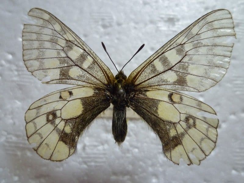 まるお様 リクエスト ３点 まとめ商品