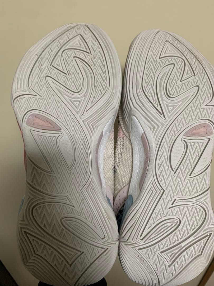 リーニン WADE ALL CITY 12 バッシュ 25.5cm