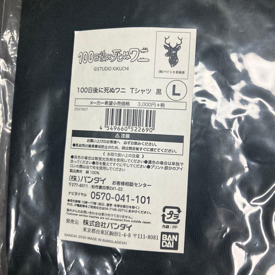 バンダイ　100日後に死ぬワニ　パーカー　Tシャツ　セット　Lサイズ