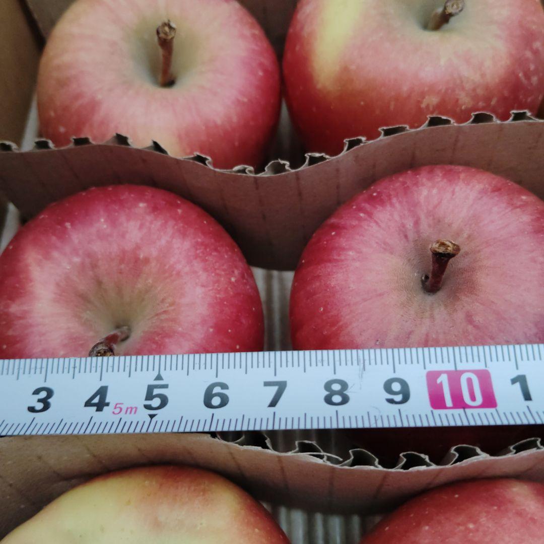 専用みぃ様　青森県産 高徳りんご 小玉72個入り9.5kg