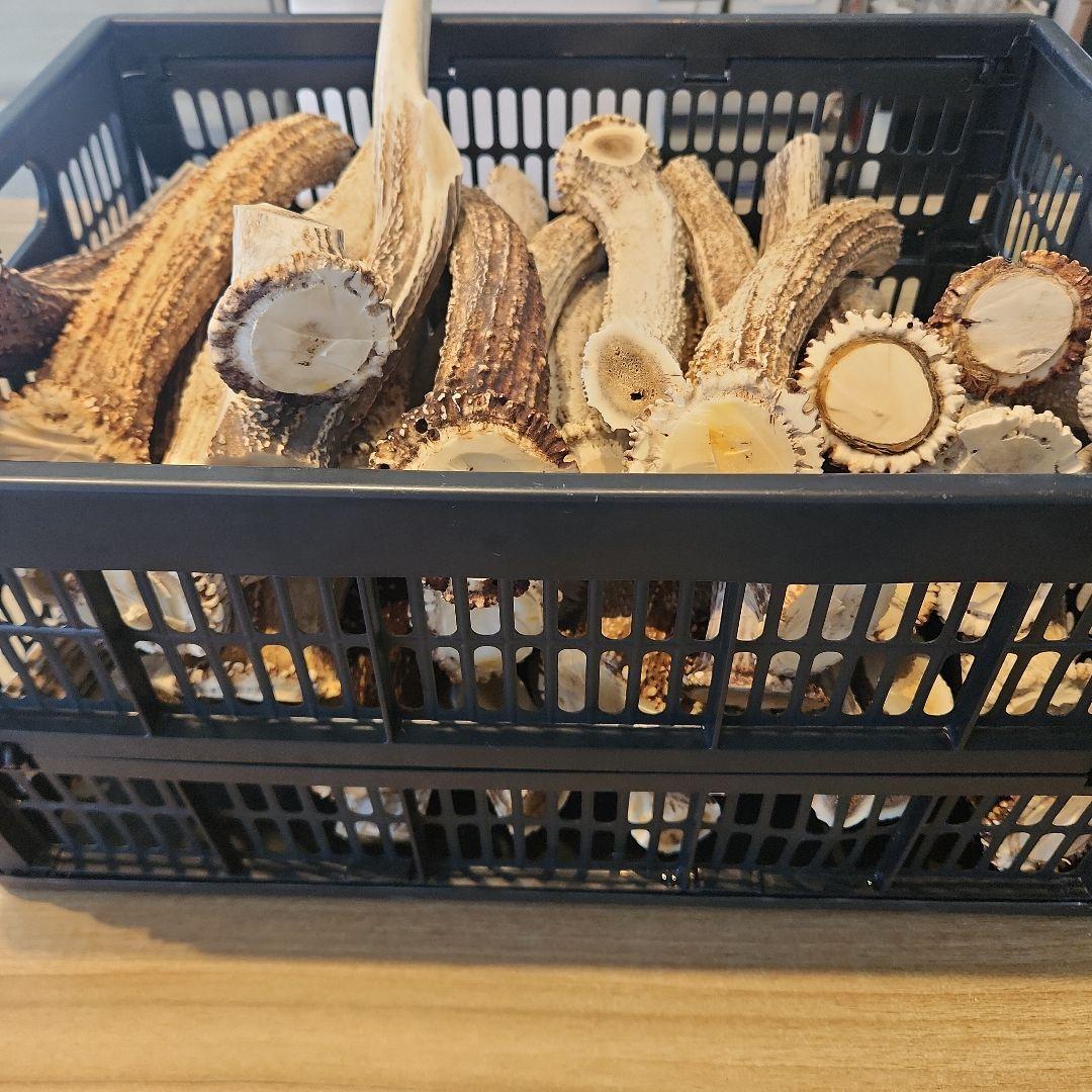 ぶち　鹿の角 (特大～大サイズ)犬用おもちゃ ランダム　2kg　8本