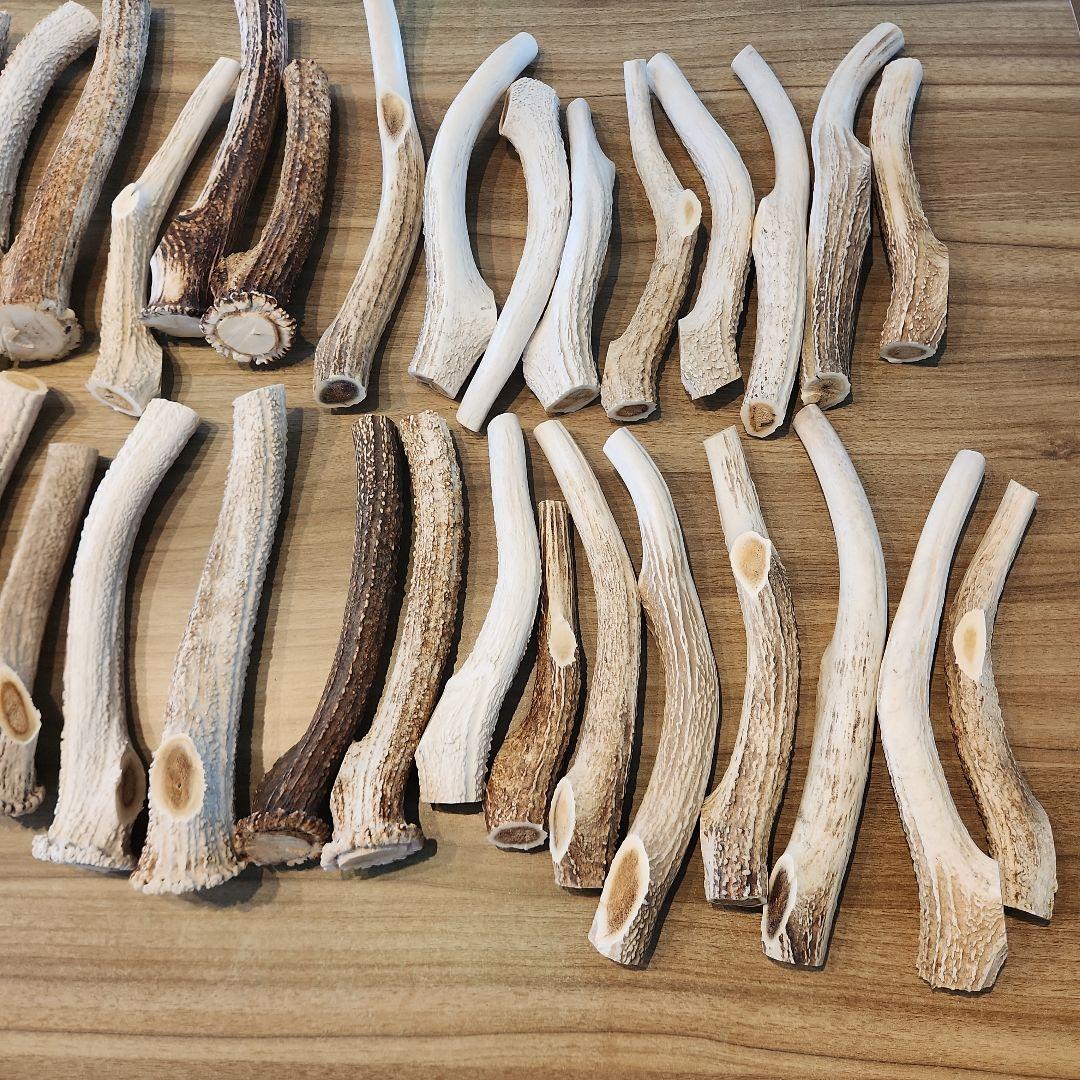 ぶち　鹿の角 (特大～大サイズ)犬用おもちゃ ランダム　2kg　8本