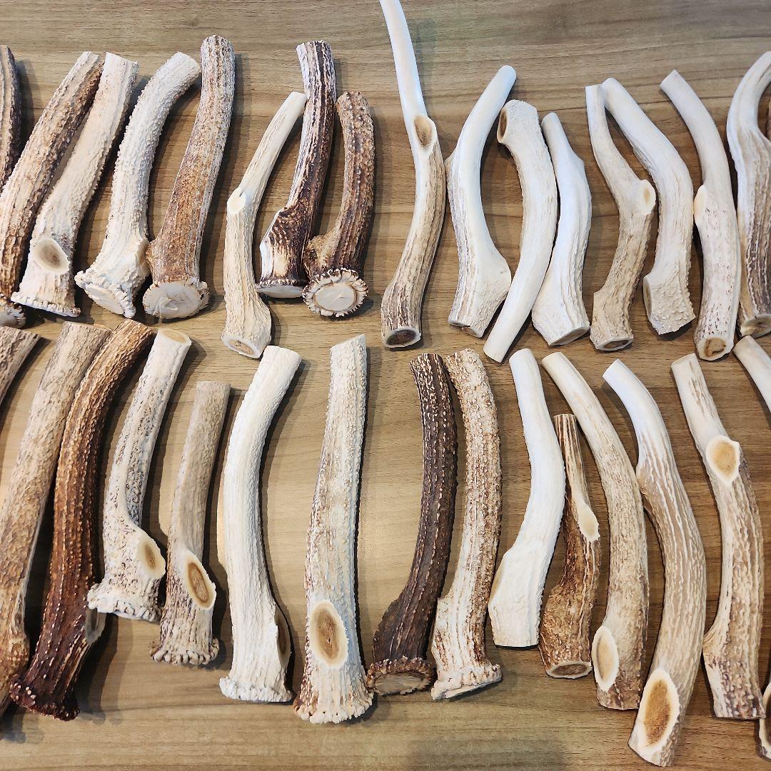 ぶち　鹿の角 (特大～大サイズ)犬用おもちゃ ランダム　2kg　8本