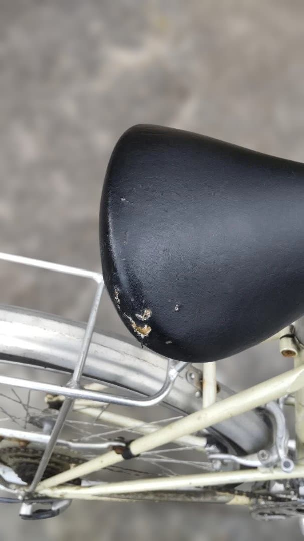 ブリヂストン ユーラシア ミキスト ランドナー 自転車