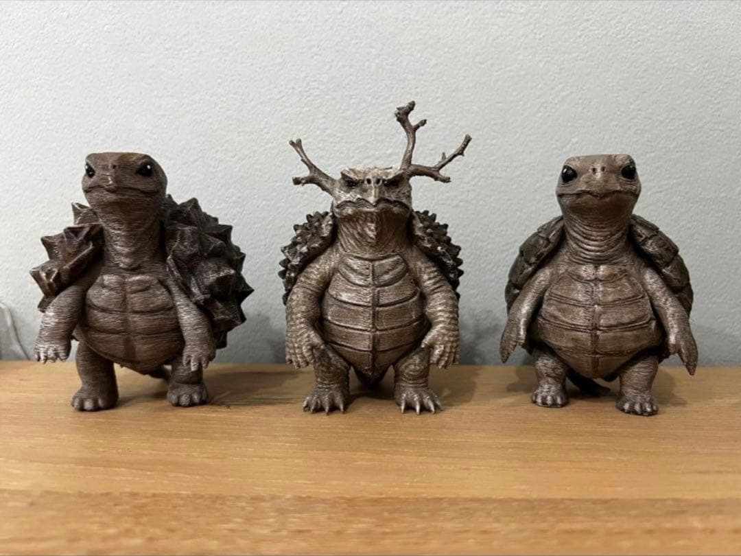 亀甲竜 【アフリカ メキシコ】 パキプス亀　プロモーション用