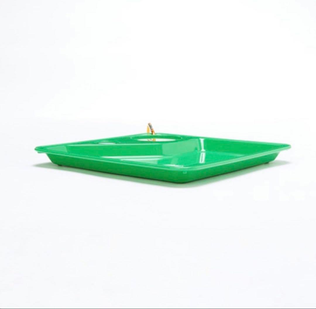 フジロック オリジナルトレー　FUJI ROCK トレイ【新品未開封】