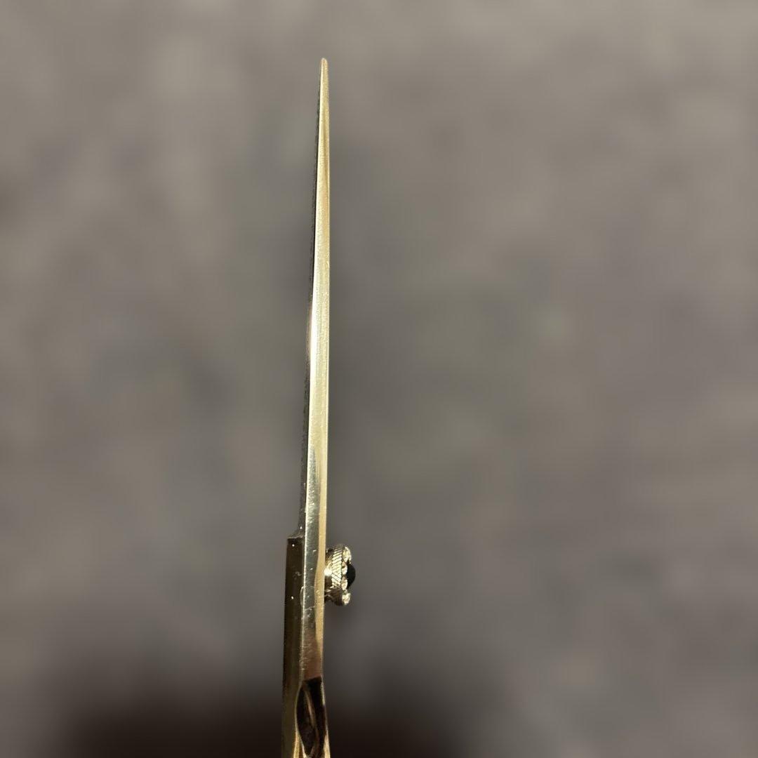 【試し切り程度】MOMOシザー ストレート 鋏 ハサミ トリミング