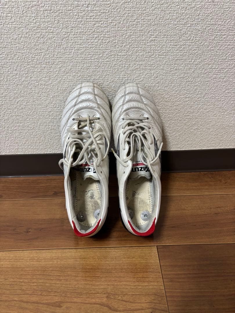 モレリアネオ4 mix 25.5