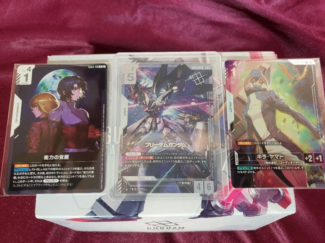 ニュータイプチャレンジ　フリーダム　ガンダム　キラ　ヤマト　能力の覚醒　B
