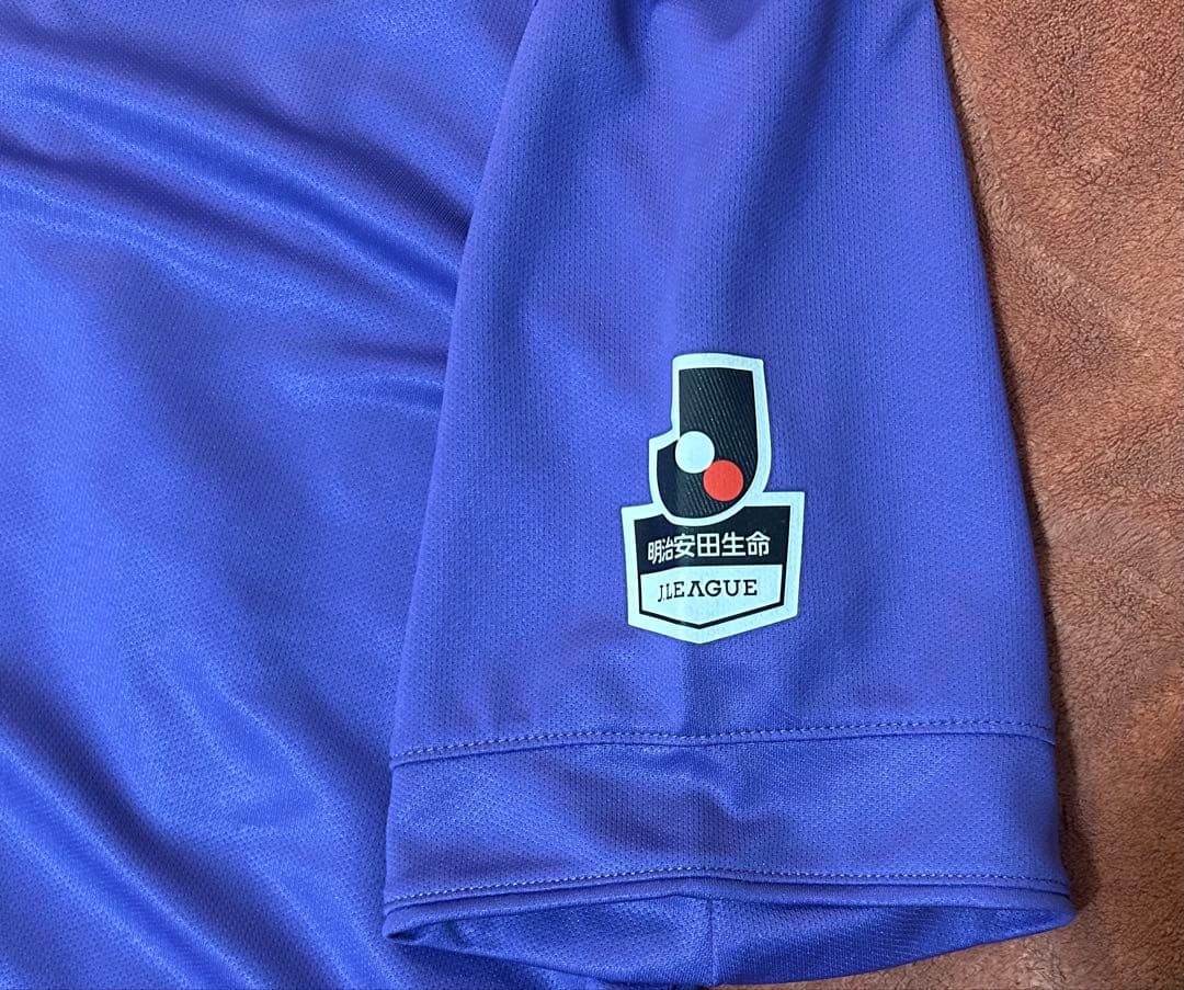 サンフレッチェ2015 優勝メンバー直筆サイン入りユニフォーム（森保一監督等）